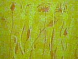 wax-resist frieze